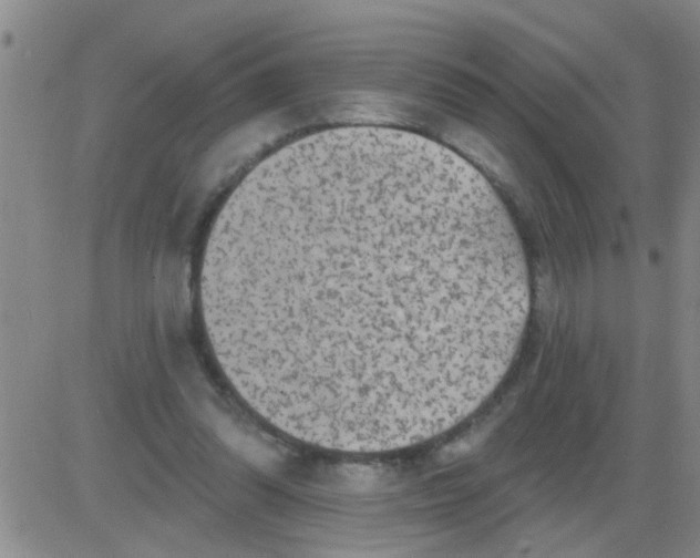 X0000083990302200703021946