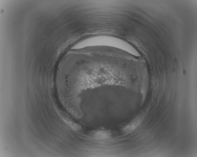 X0000083990303200703021946