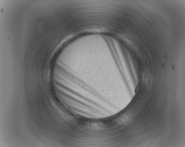 X0000083990304200703021946