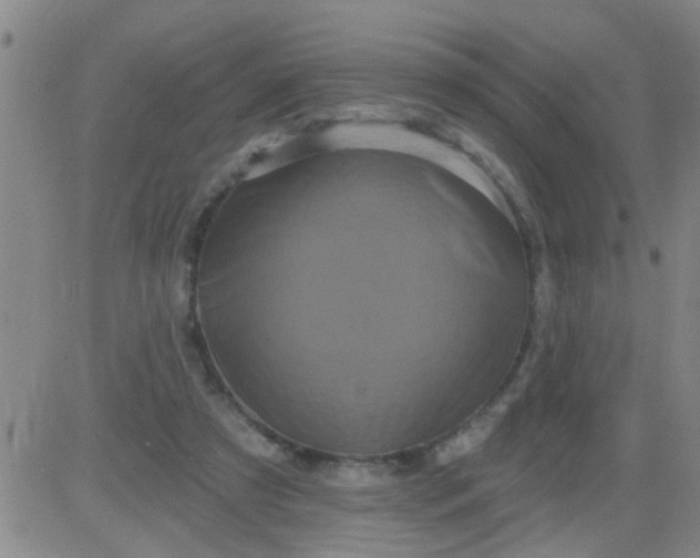 X0000083990305200703021946