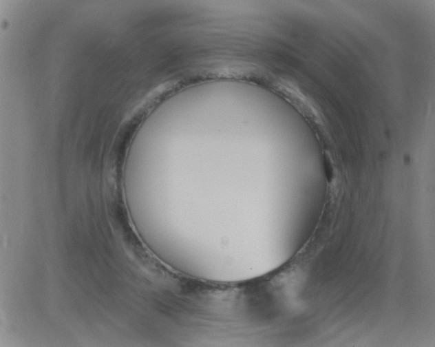 X0000083990306200703021946