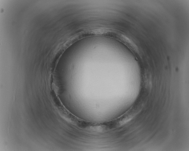 X0000083990307200703021946