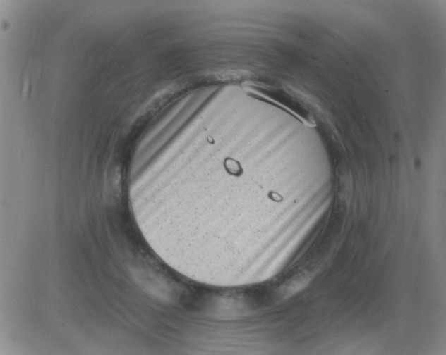 X0000083990308200703021946