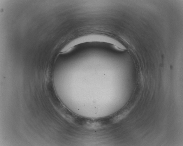 X0000083990311200703021946