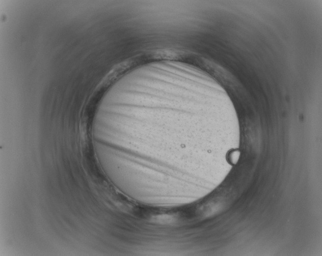 X0000083990312200703021946