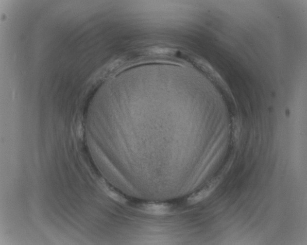 X0000083990313200703021946