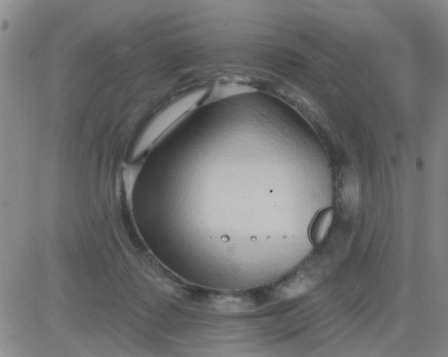 X0000083990315200703021946