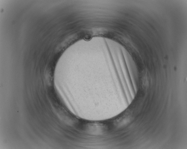 X0000083990316200703021946