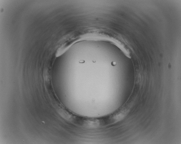 X0000083990317200703021946