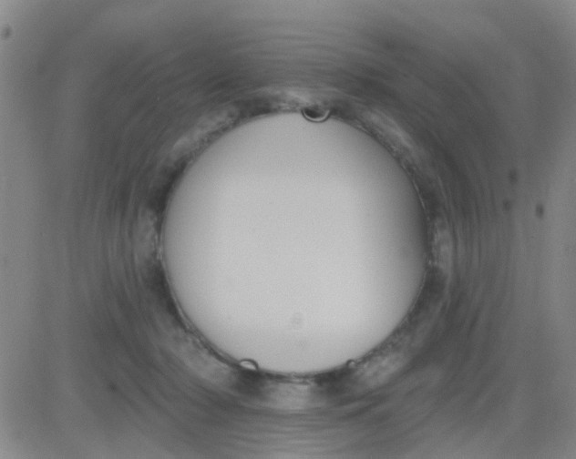 X0000083990318200703021946