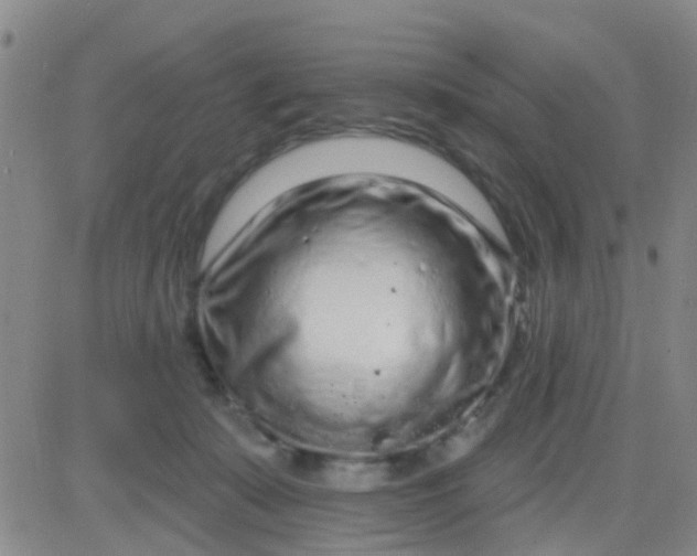 X0000083990319200703021946