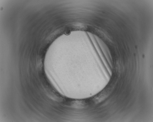 X0000083990320200703021946