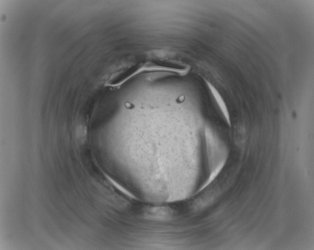 X0000083990324200703021946