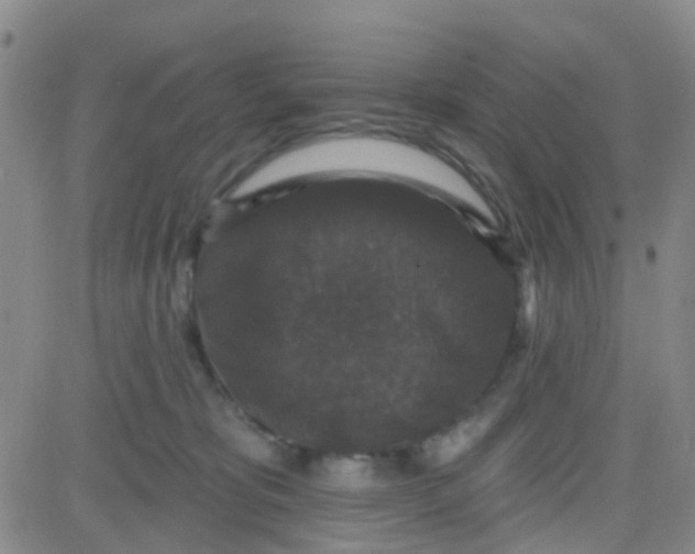 X0000083990325200703021946