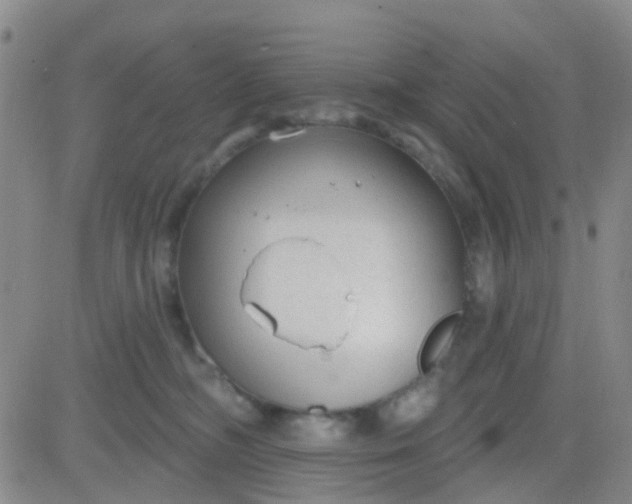 X0000083990326200703021946