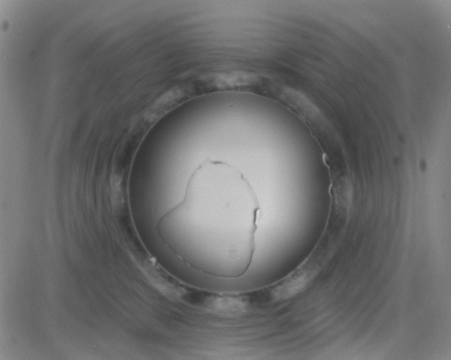 X0000083990327200703021946