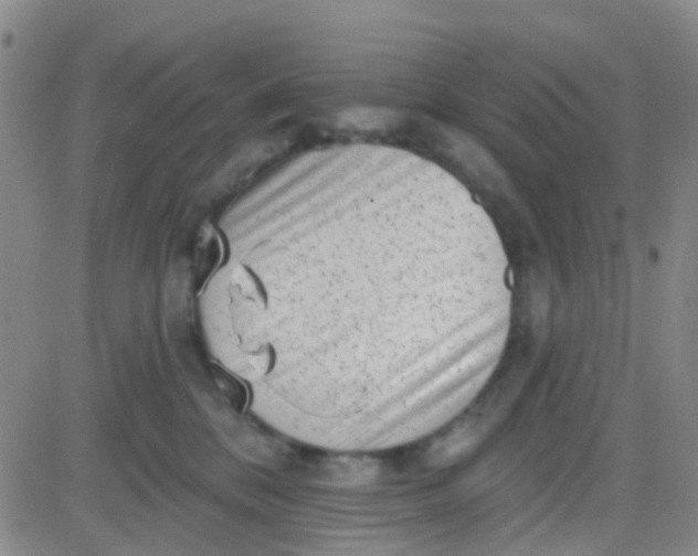 X0000083990328200703021946