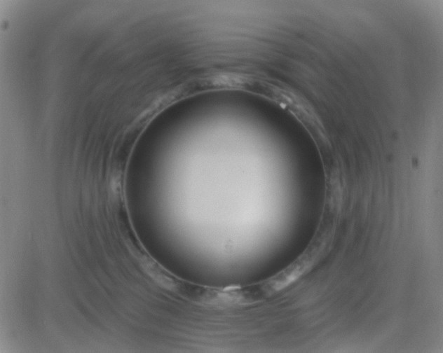 X0000083990329200703021946