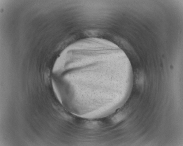 X0000083990332200703021946