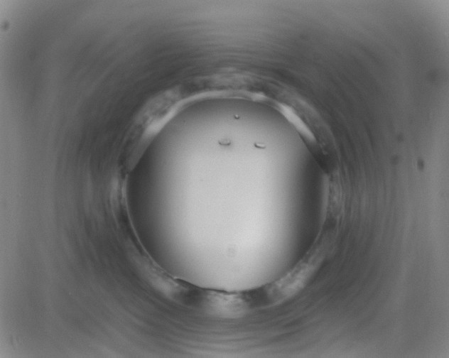 X0000083990333200703021946