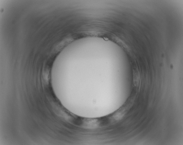 X0000083990334200703021946