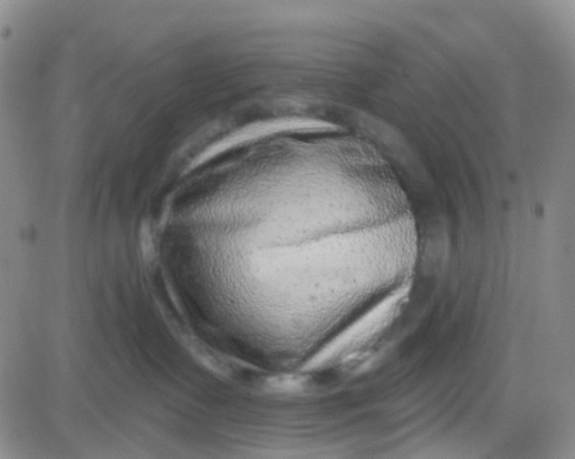 X0000083990335200703021946