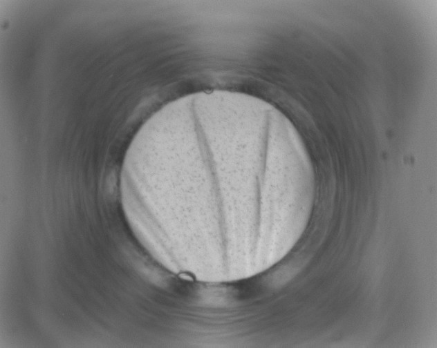 X0000083990336200703021946