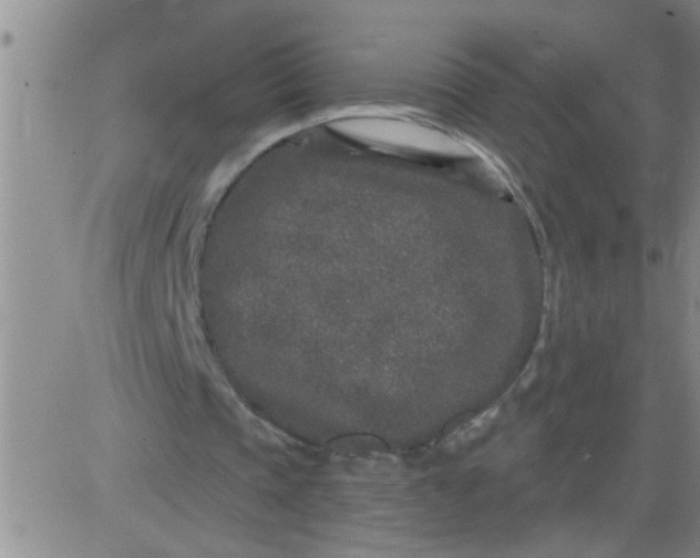 X0000083990337200703021945