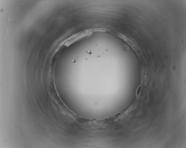 X0000083990338200703021945