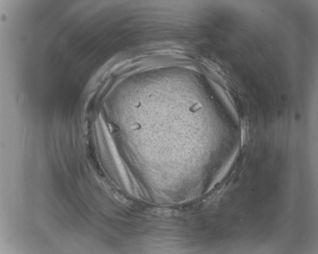 X0000083990339200703021945