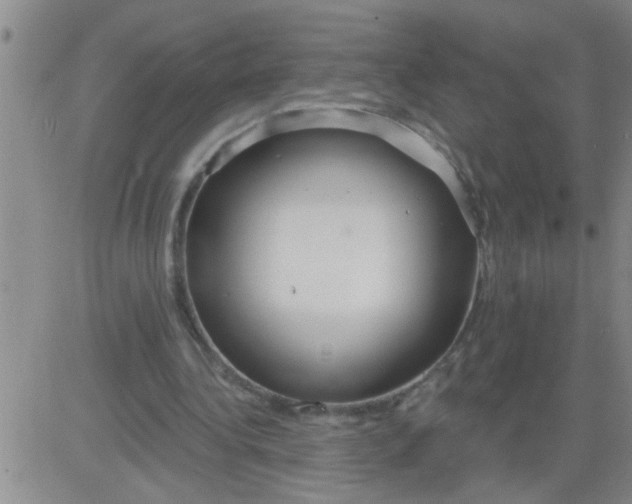 X0000083990340200703021945