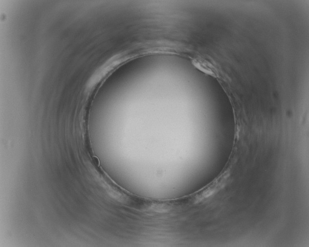 X0000083990341200703021945