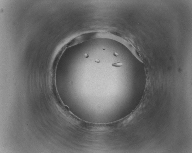 X0000083990342200703021945