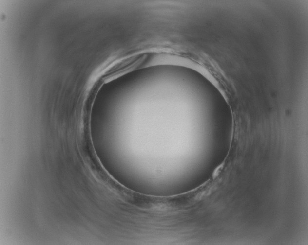 X0000083990344200703021945