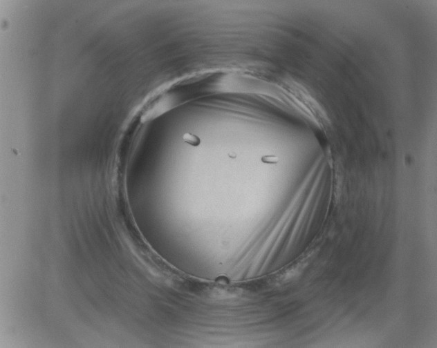 X0000083990346200703021945