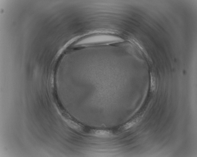 X0000083990348200703021945