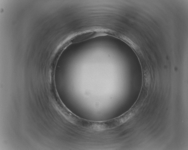 X0000083990350200703021945