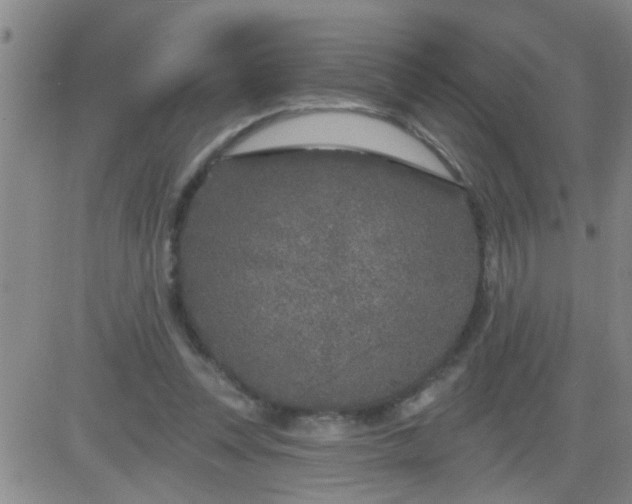 X0000083990351200703021945