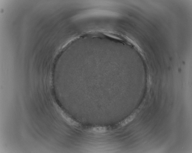 X0000083990353200703021945