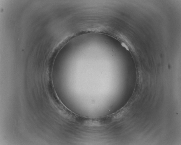 X0000083990354200703021945