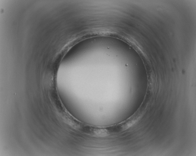 X0000083990355200703021945