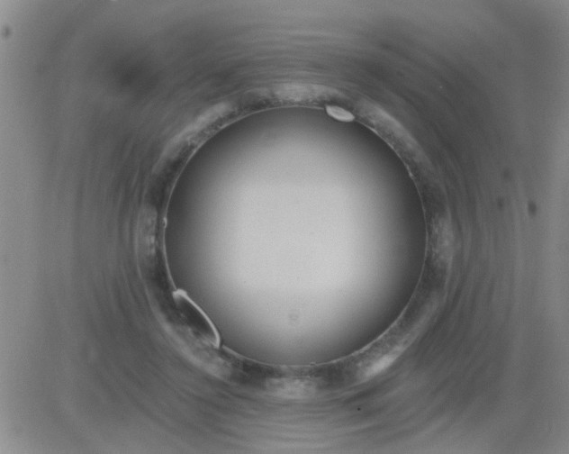 X0000083990356200703021945