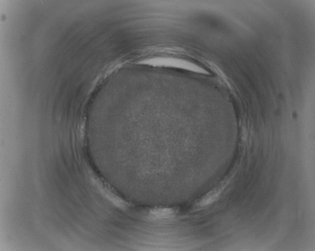 X0000083990357200703021945