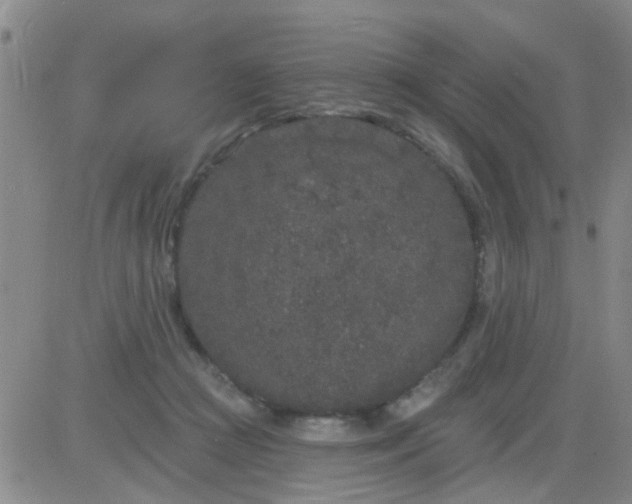 X0000083990361200703021945