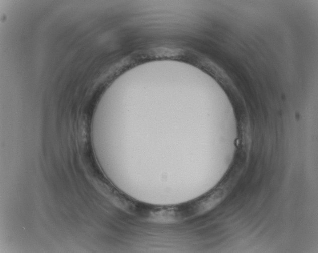 X0000083990362200703021945