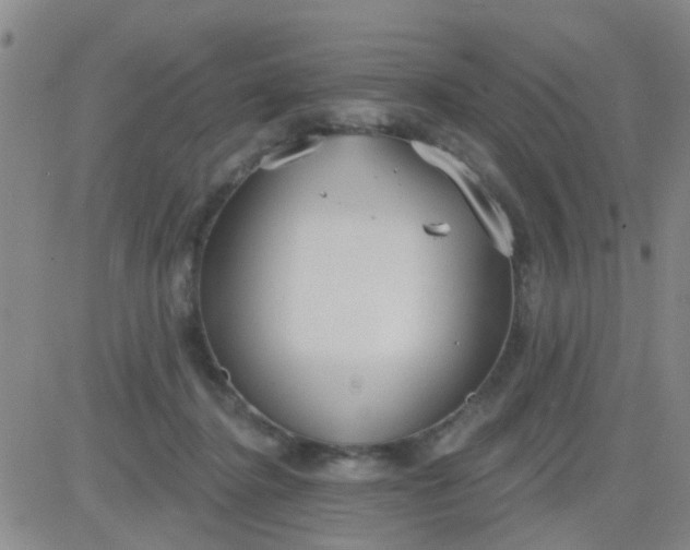 X0000083990364200703021945