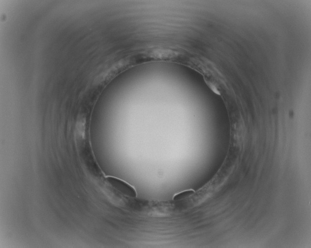 X0000083990368200703021945