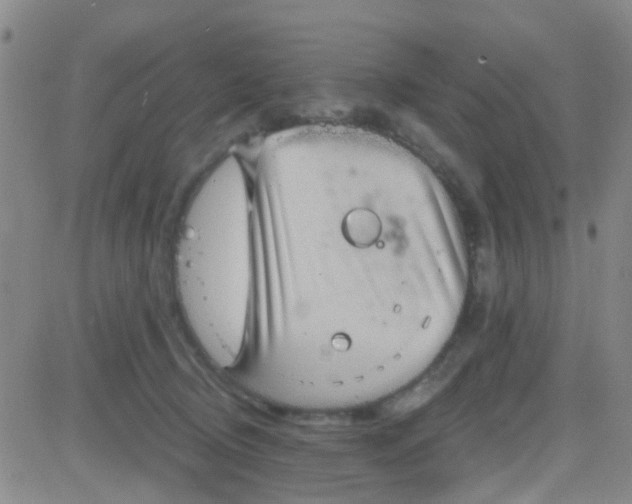 X0000083990370200703021945