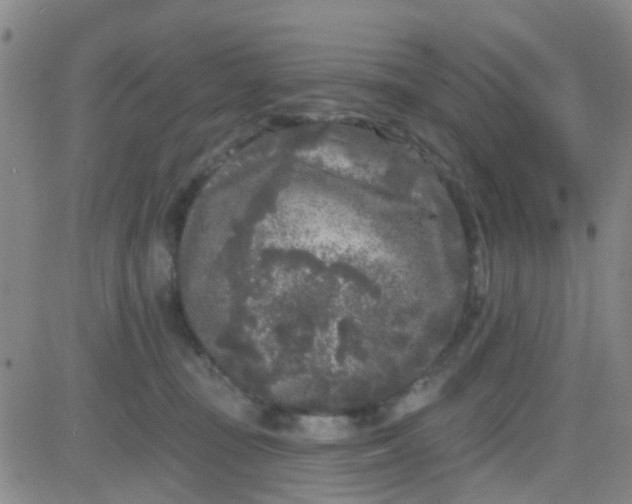 X0000083990371200703021945