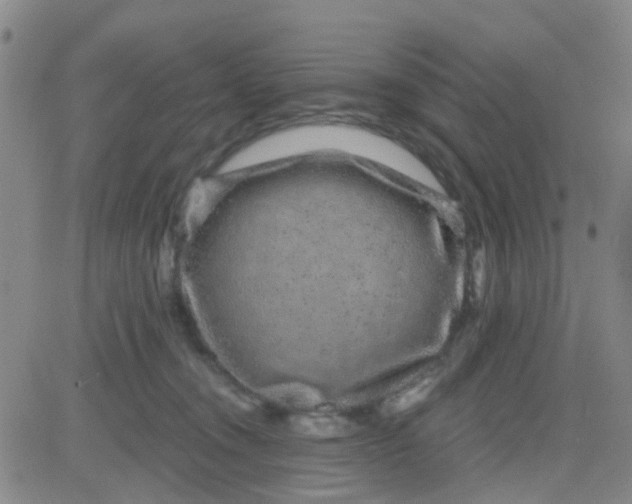 X0000083990372200703021945